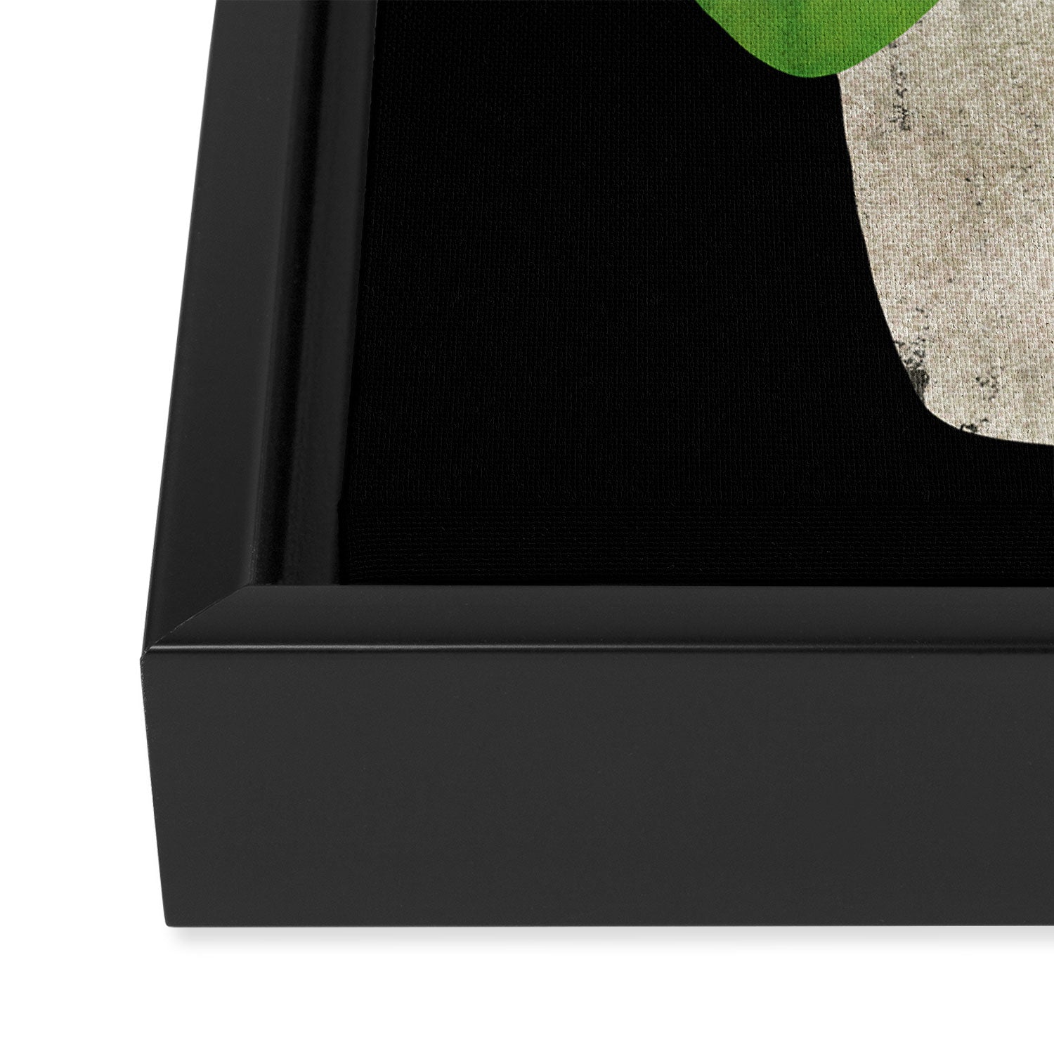 Black Pliea Peperonioides interior plant Framed Canvas Print Gallery Image 3