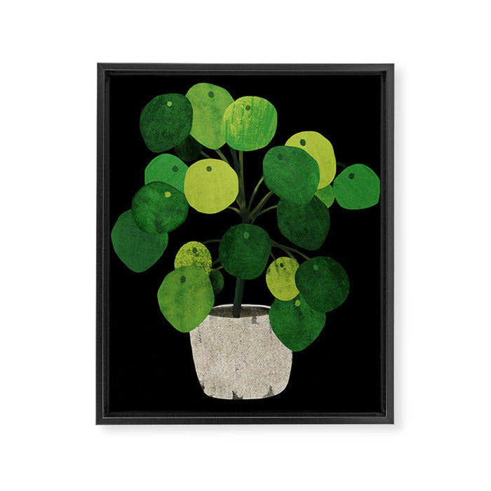 Black Pliea Peperonioides interior plant Framed Canvas Print Gallery Image 1