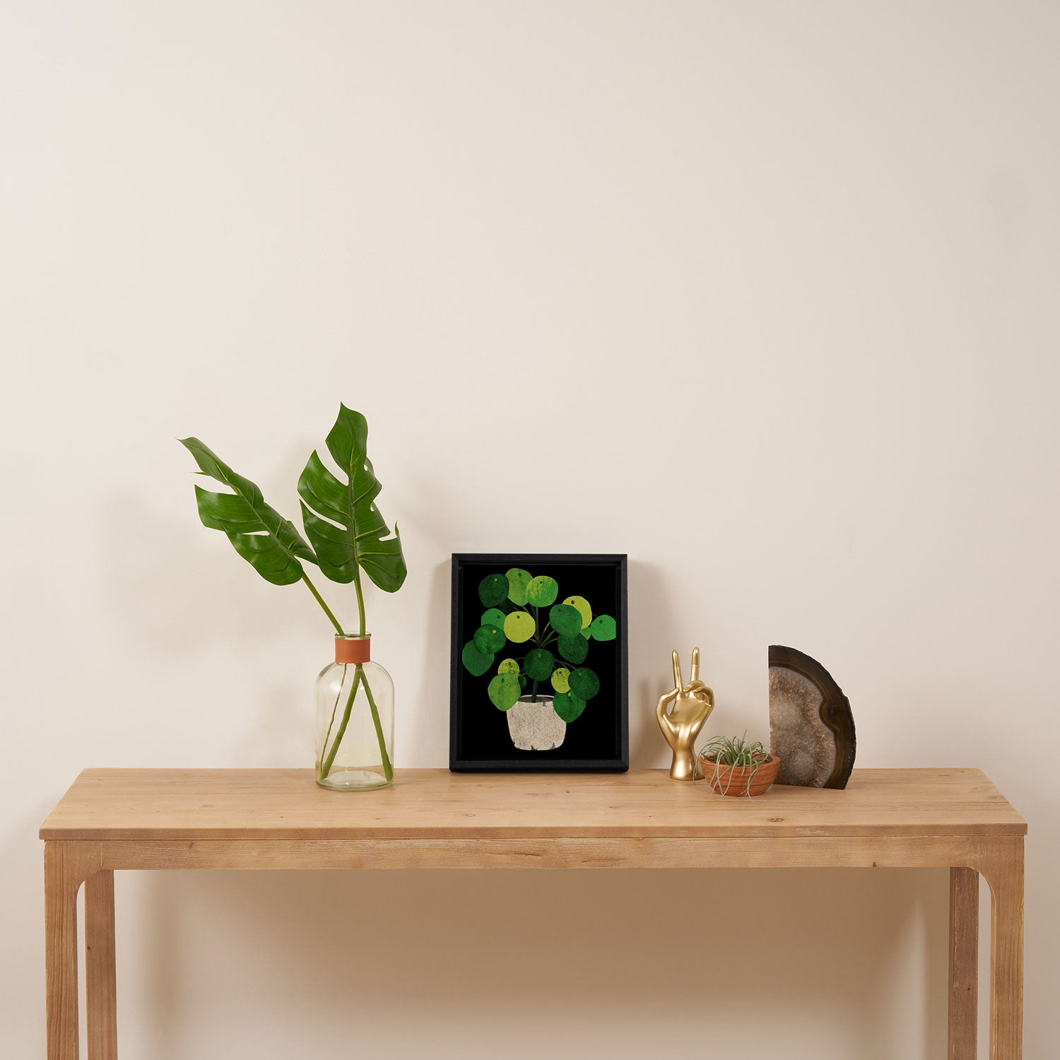 Black Pliea Peperonioides interior plant Framed Canvas Print Gallery Image 4