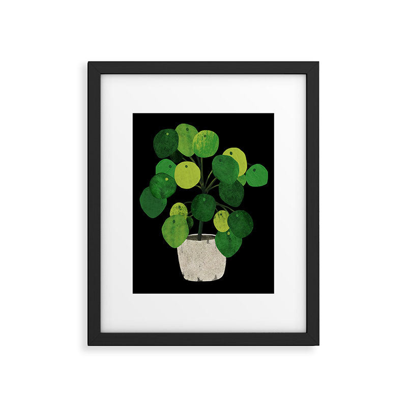 Black Pliea Peperonioides interior plant Framed Art Print Gallery Image 5