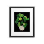 Black Pliea Peperonioides interior plant Framed Art Print Gallery Image 5