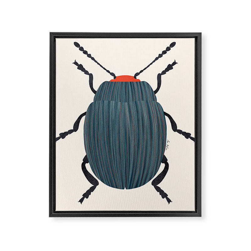 Blue and orange beetle Framed Canvas Print Gallery Image 8