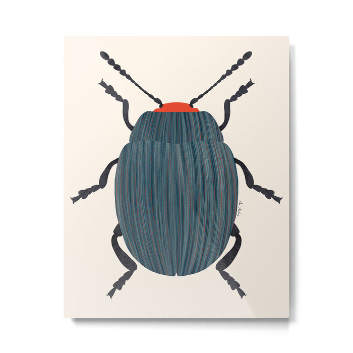Blue and orange beetle Metal Print Gallery Image 1