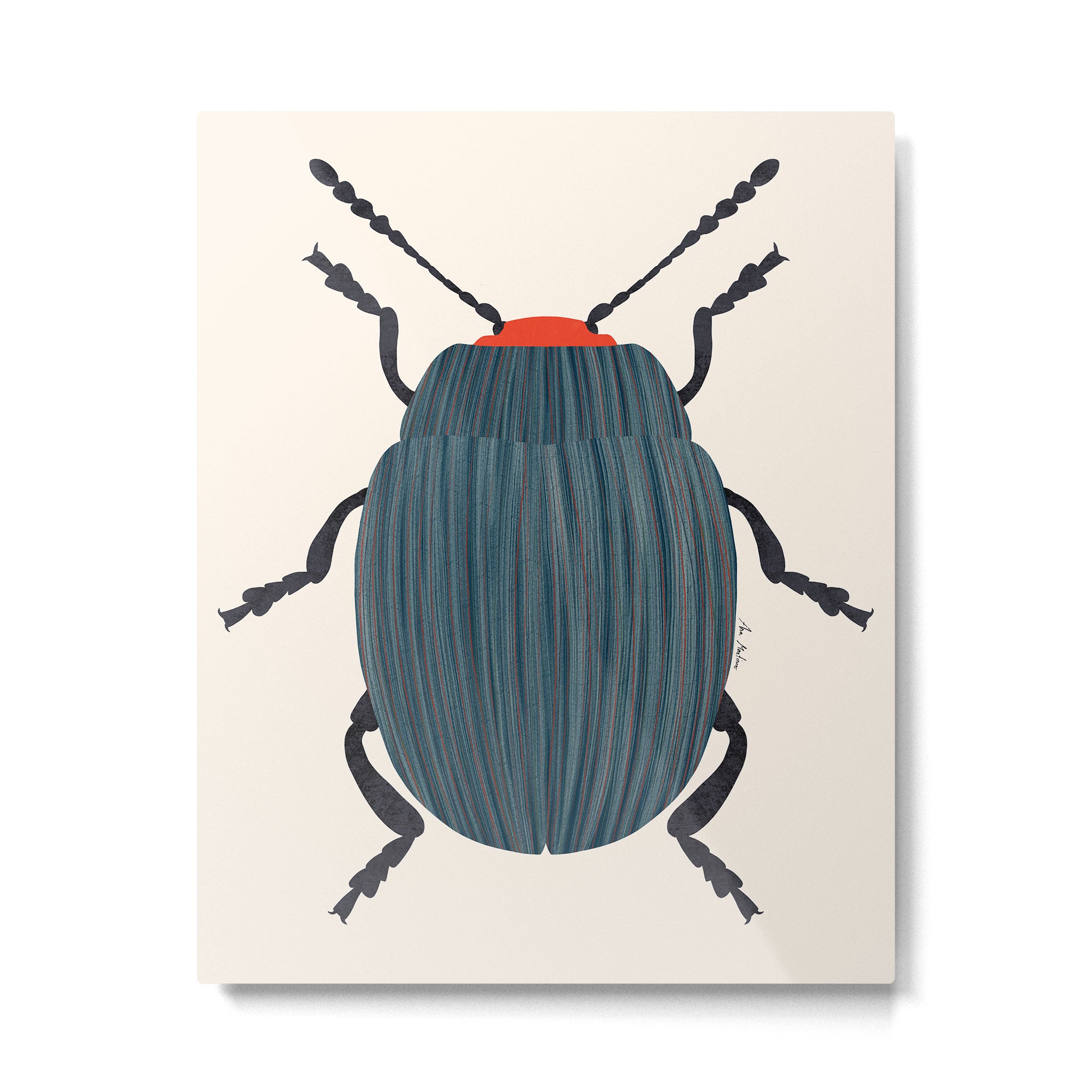 Blue and orange beetle Metal Print Gallery Image 6