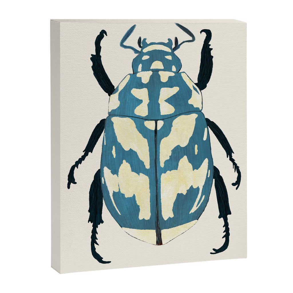Blue beetle insect Canvas Print Gallery Image 6