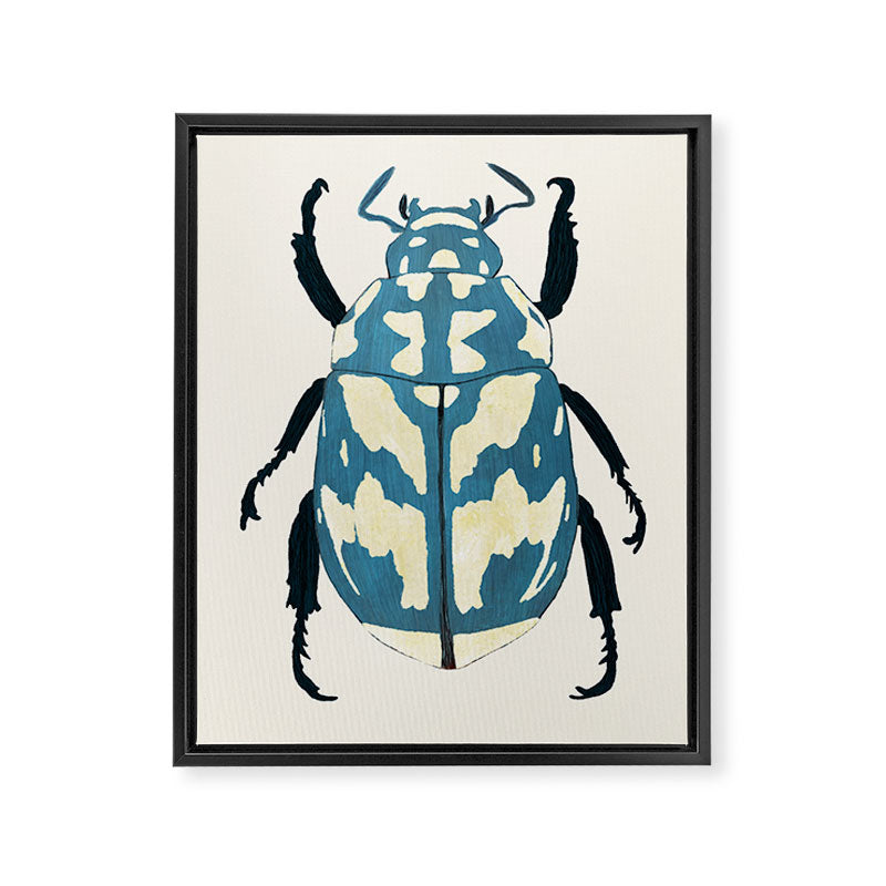 Blue beetle insect Framed Canvas Print Gallery Image 6