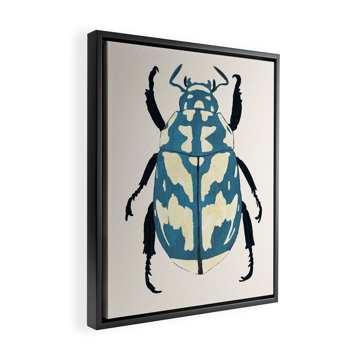 Blue beetle insect Framed Canvas Print Gallery Image 2