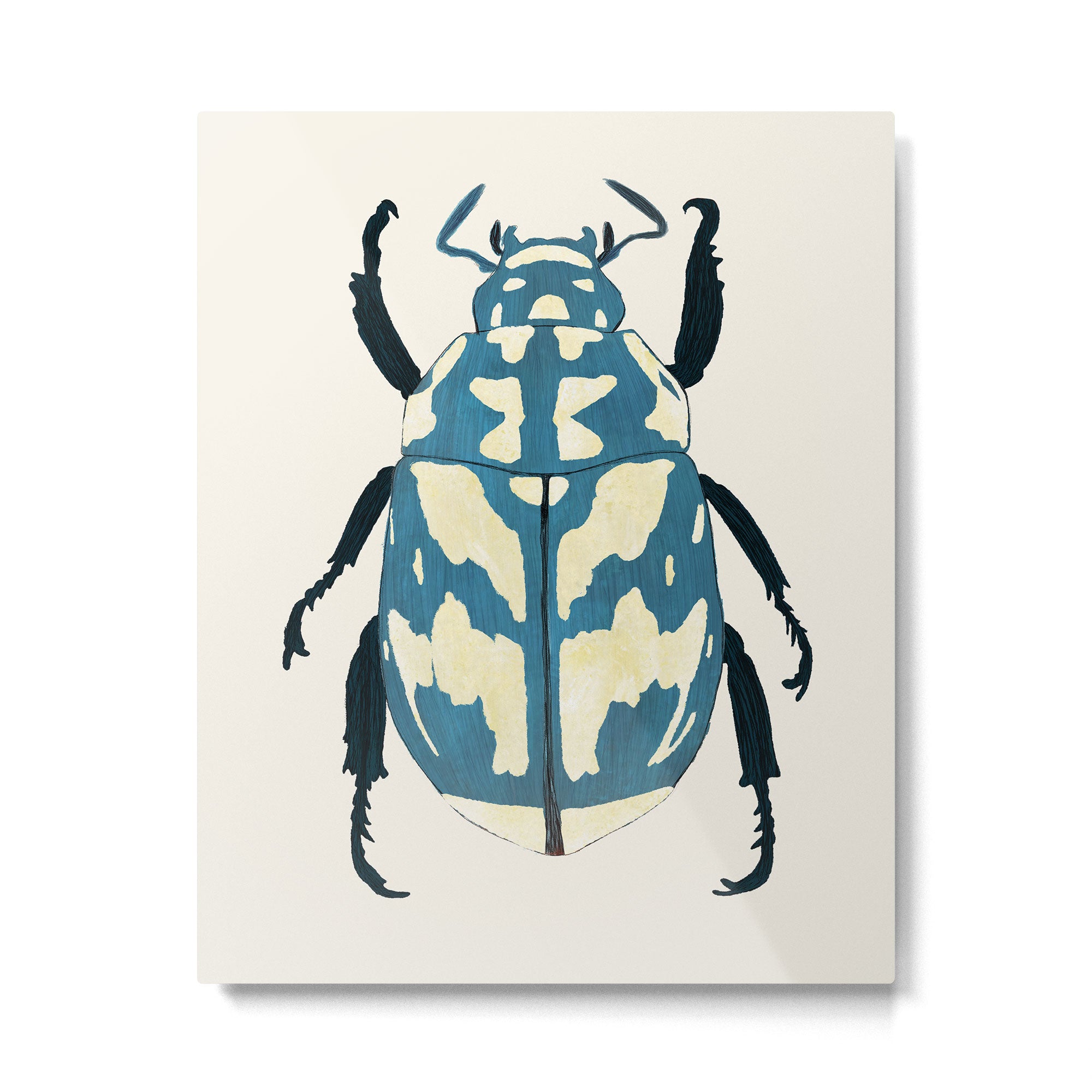 Blue beetle insect Metal Print Gallery Image 4