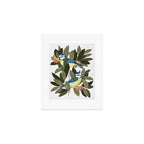 Blue tit and strawberry tree Art Print Gallery Image 1
