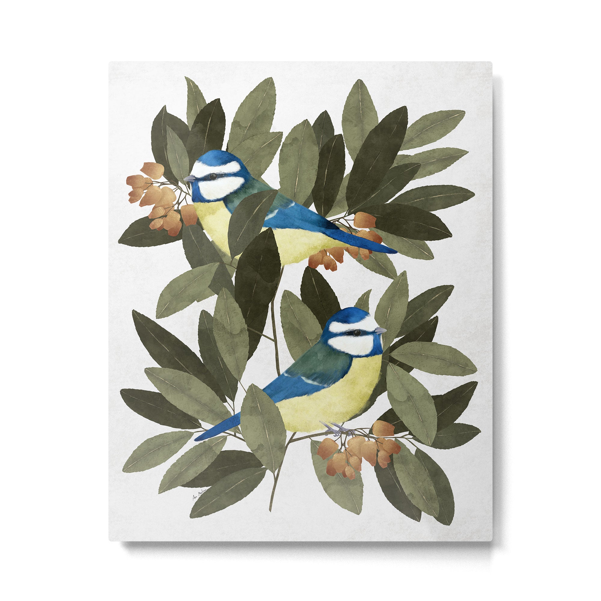 Blue tit and strawberry tree Metal Print Gallery Image 4