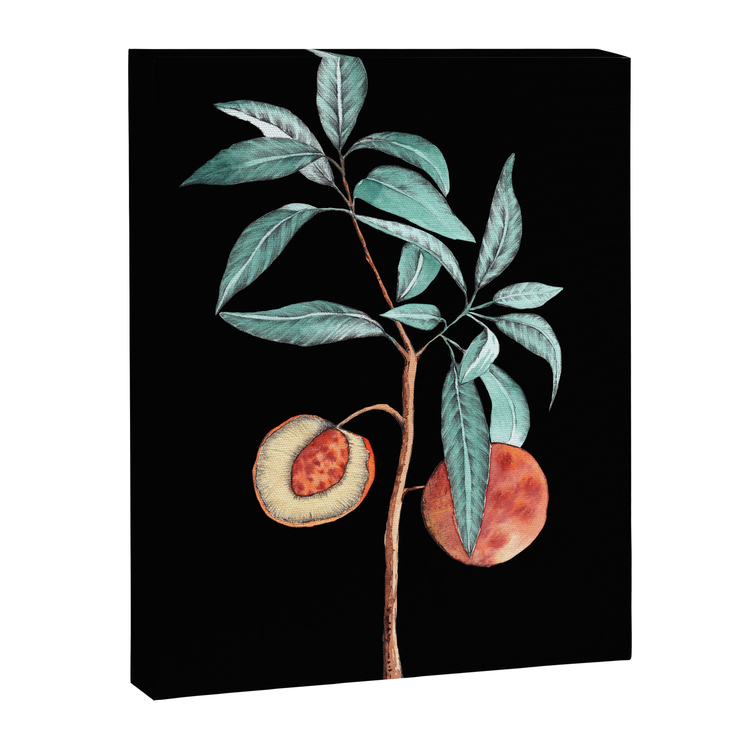 botanical peach Canvas Print Gallery Image 6
