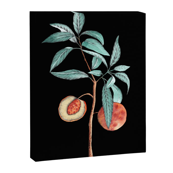 botanical peach Canvas Print Gallery Image 1