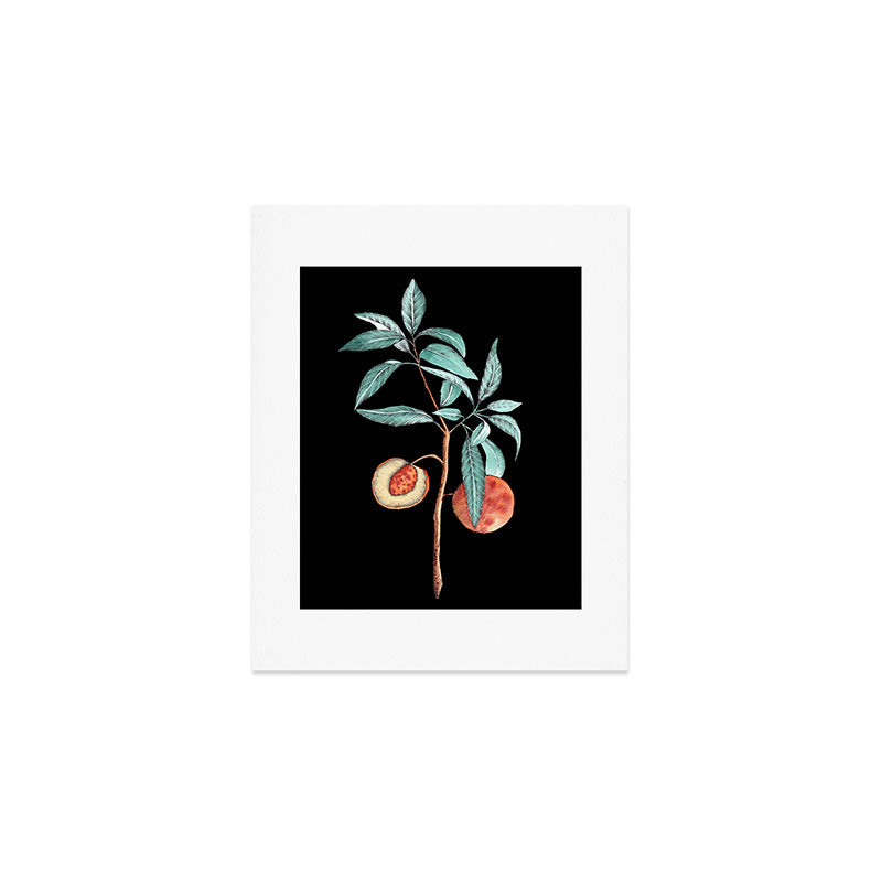botanical peach Art Print Gallery Image 1
