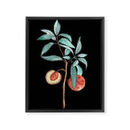 botanical peach Framed Canvas Print Gallery Image 6