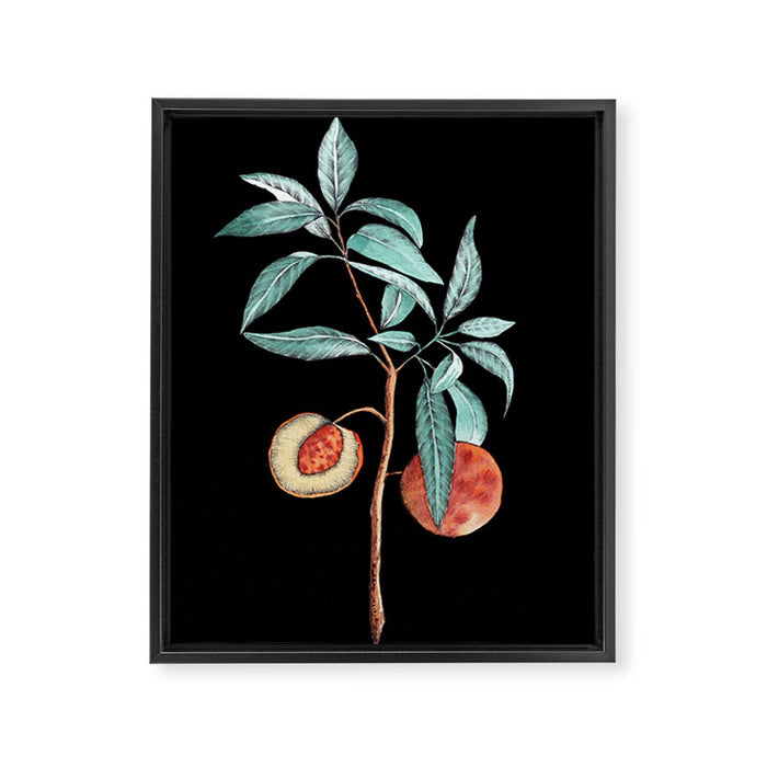 botanical peach Framed Canvas Print Gallery Image 1