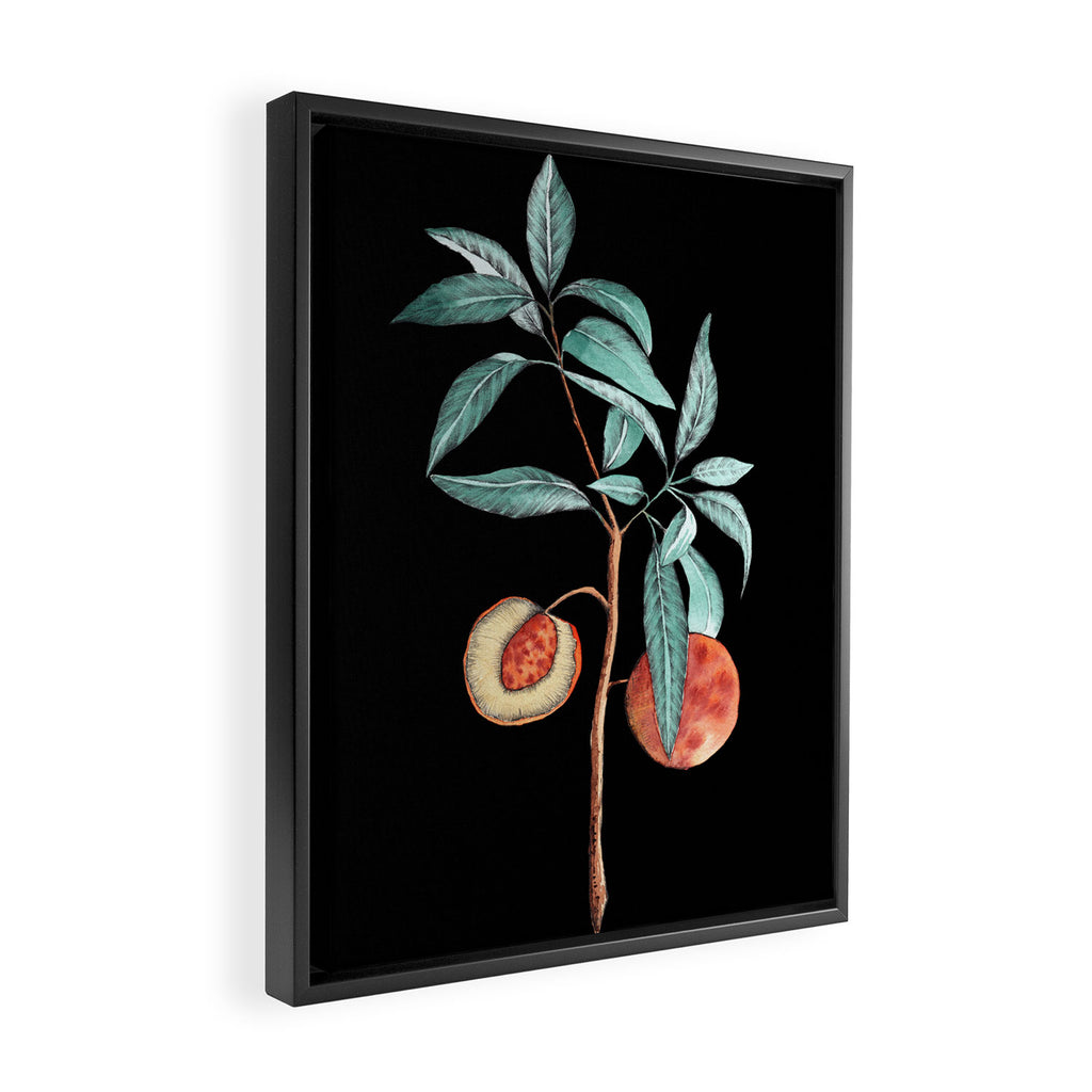 botanical peach Framed Canvas Print Gallery Image 2