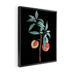 botanical peach Framed Canvas Print Gallery Image 2