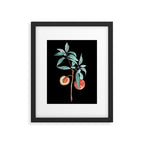 botanical peach Framed Art Print Gallery Image 5