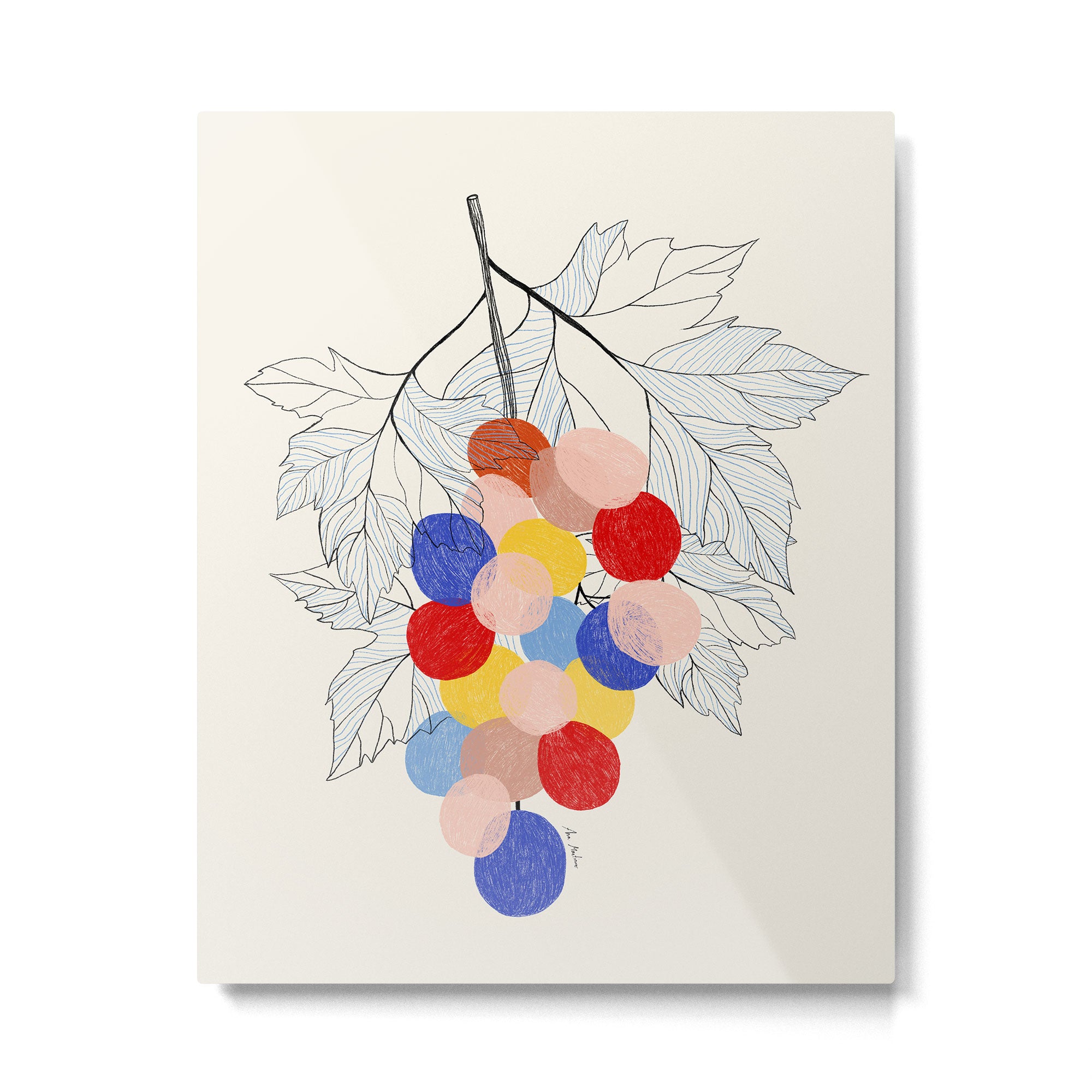 Bunch of grapes Fruit Metal Print Gallery Image 4
