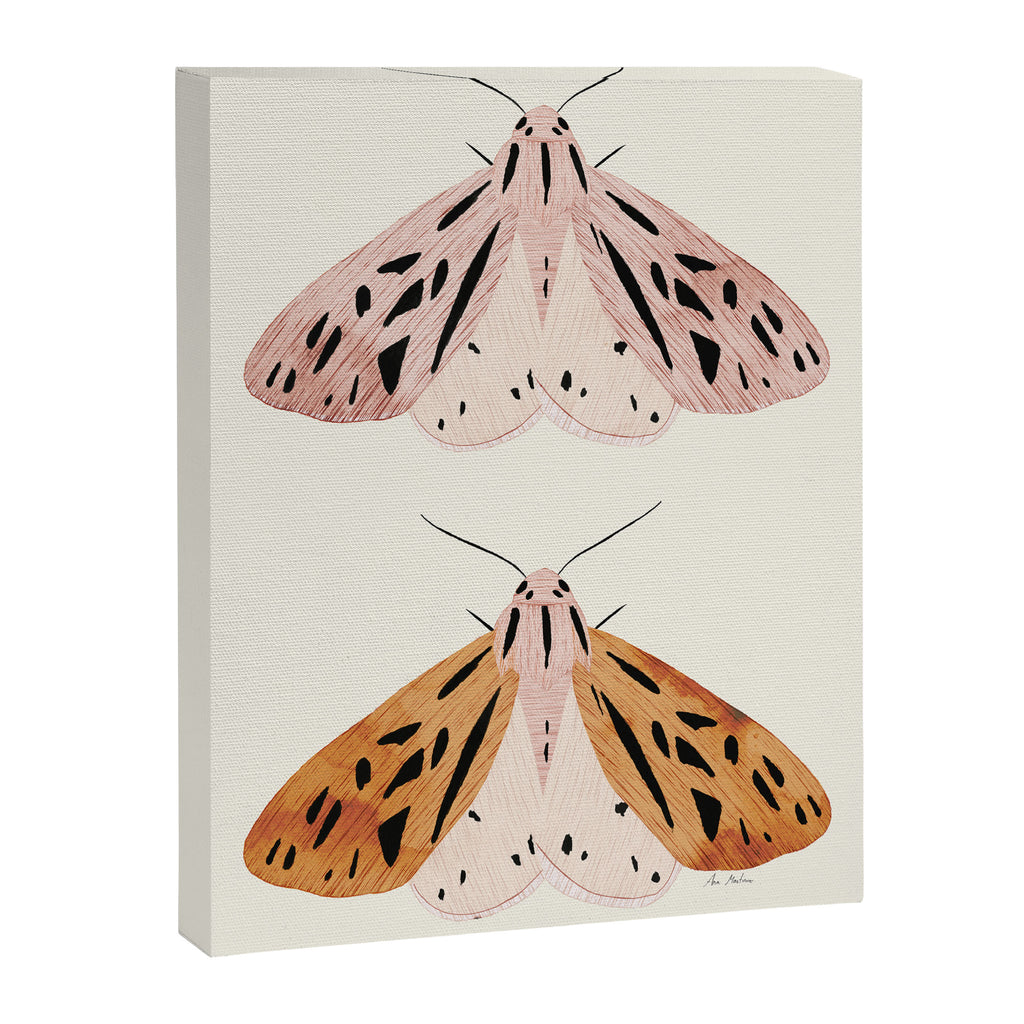 Butterflies Canvas Print Gallery Image 6