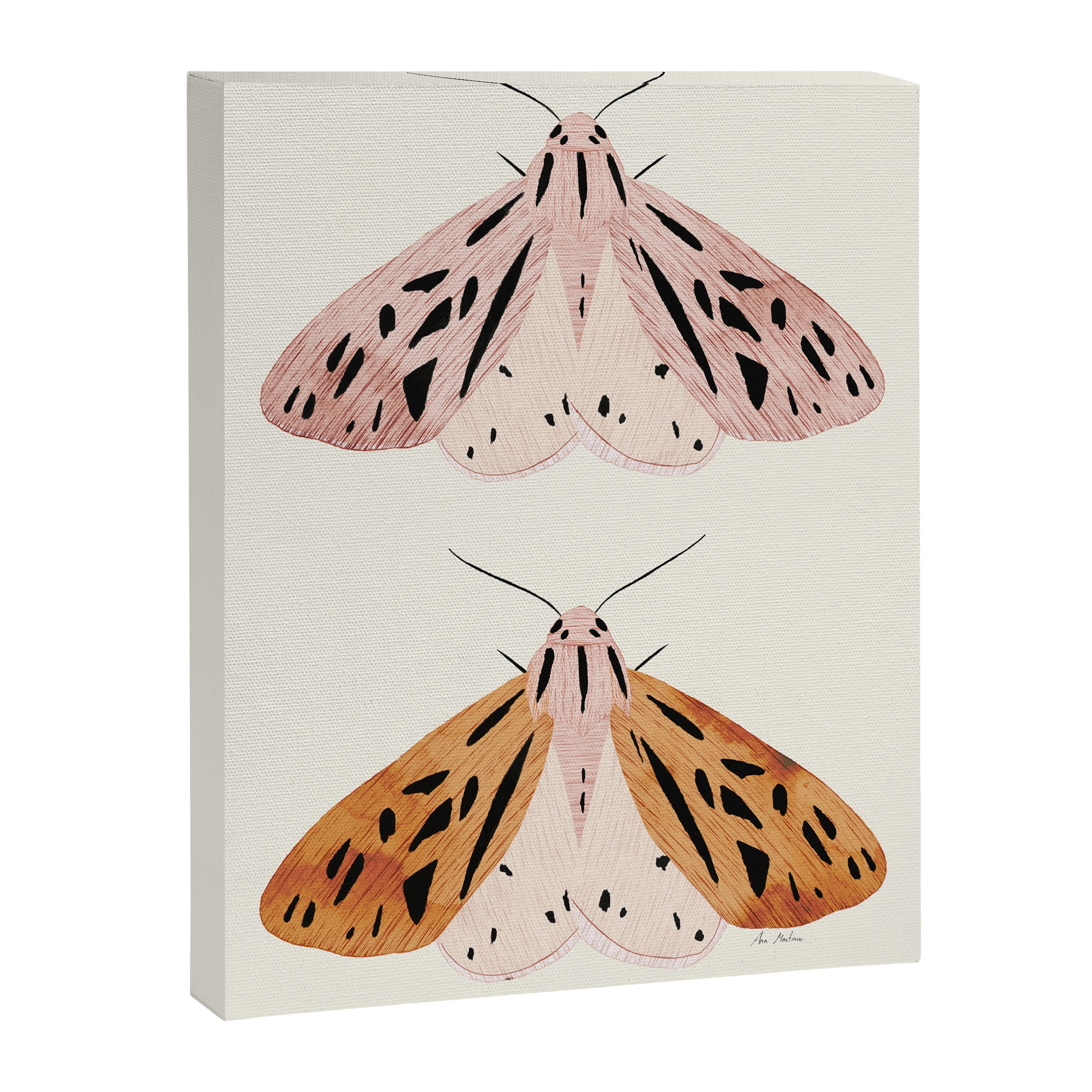 Butterflies Canvas Print Gallery Image 6