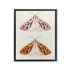 Butterflies Framed Canvas Print Gallery Image 6