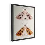 Butterflies Framed Canvas Print Gallery Image 2