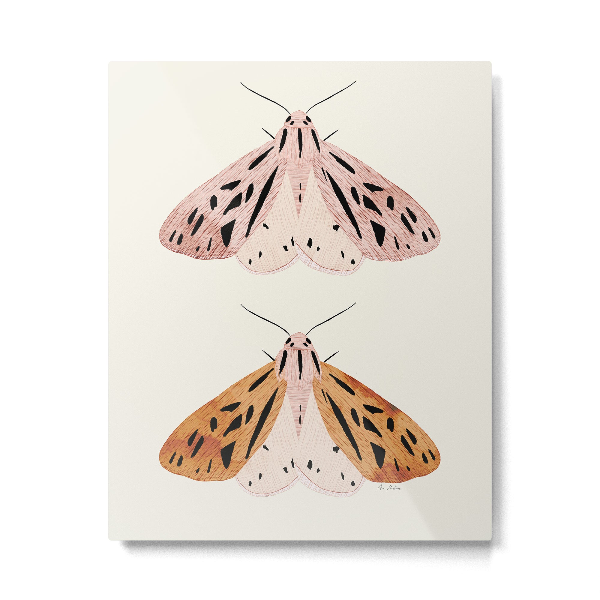 Butterflies Metal Print Gallery Image 4