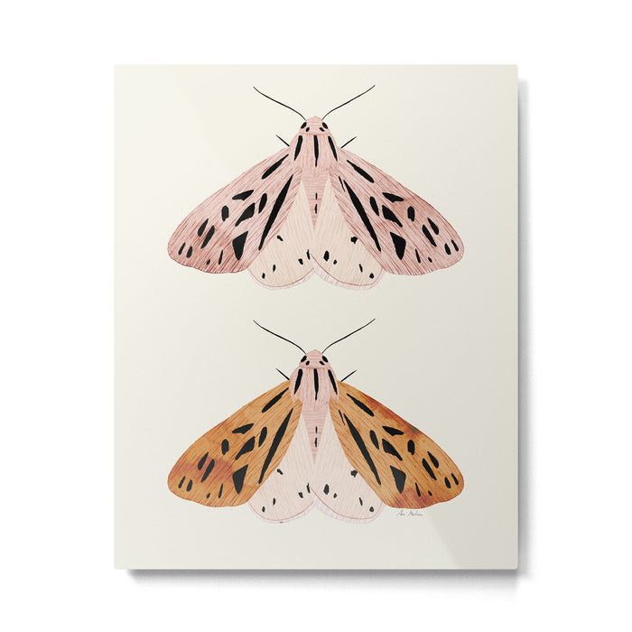 Butterflies Metal Print Gallery Image 1
