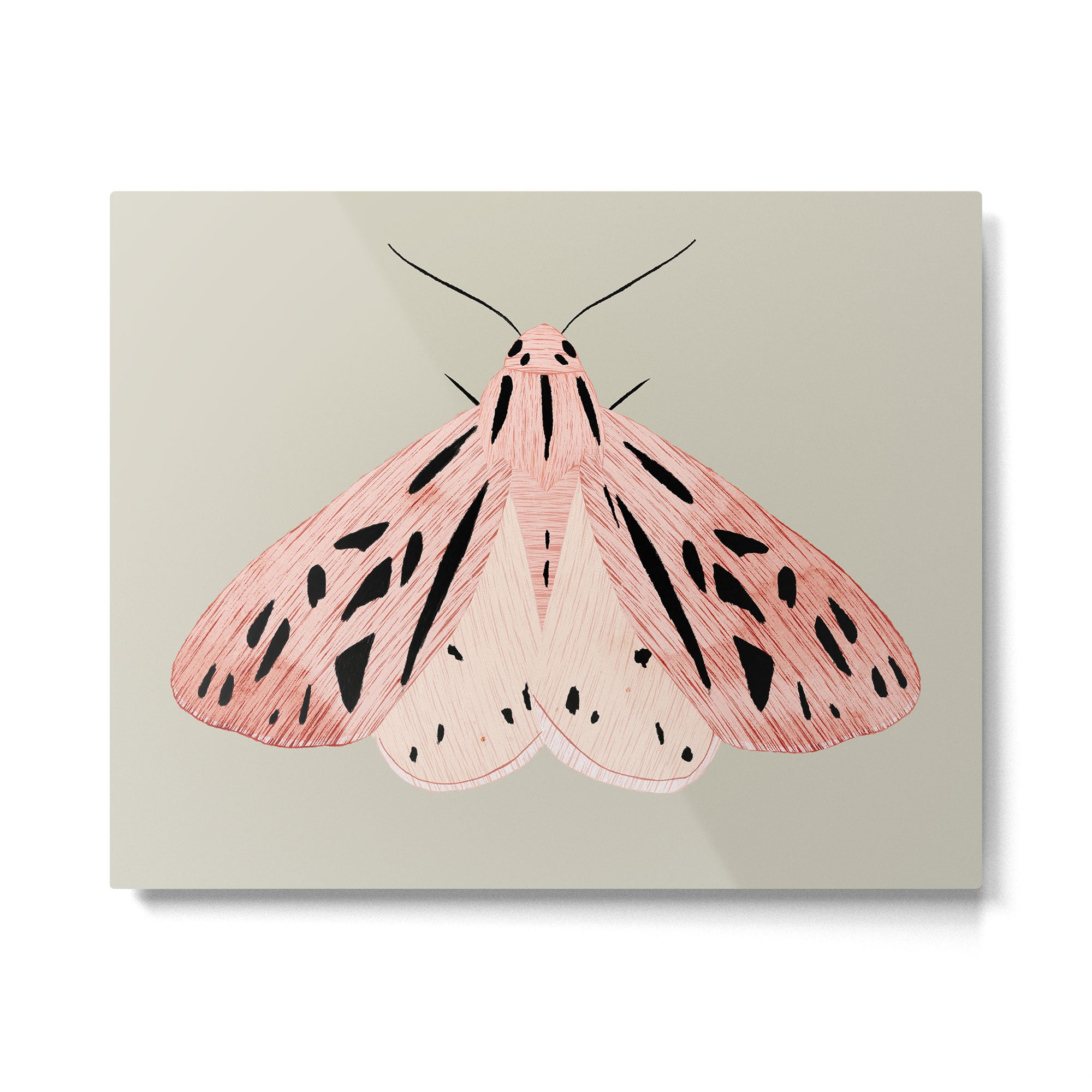 butterfly watercolor Metal Print Gallery Image 4