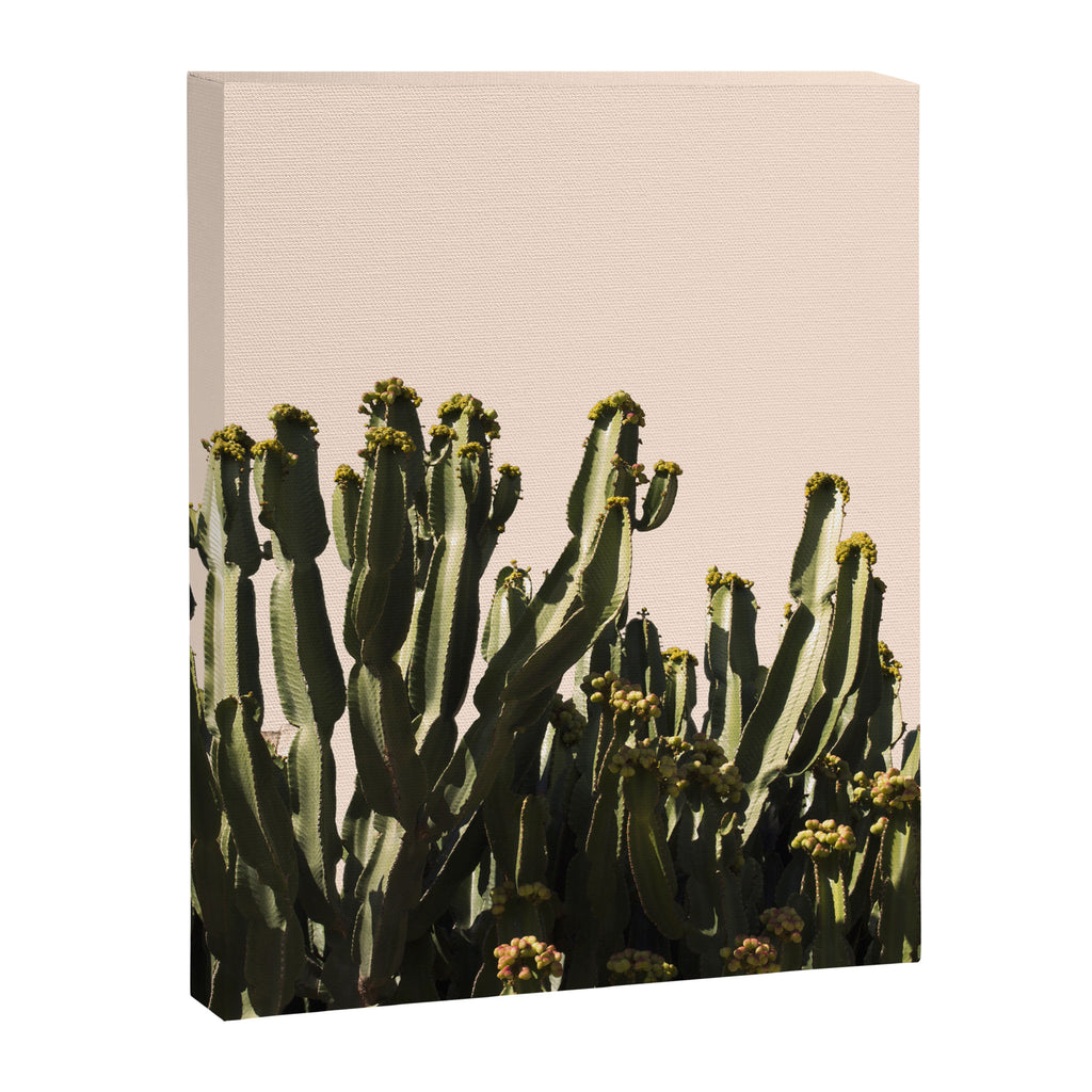 cactus nature x Canvas Print Gallery Image 6