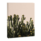 cactus nature x Canvas Print Gallery Image 6