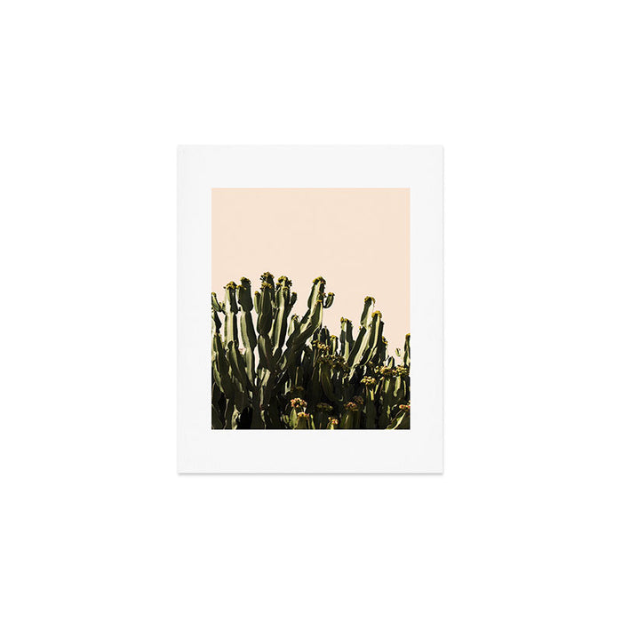 cactus nature x Art Print Gallery Image 1