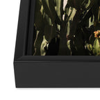 cactus nature x Framed Canvas Print Gallery Image 3
