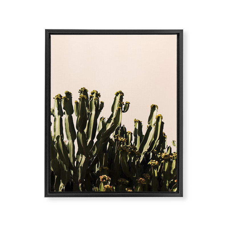 cactus nature x Framed Canvas Print Gallery Image 6
