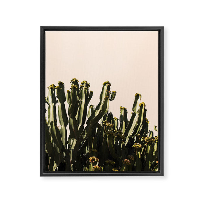 cactus nature x Framed Canvas Print Gallery Image 1