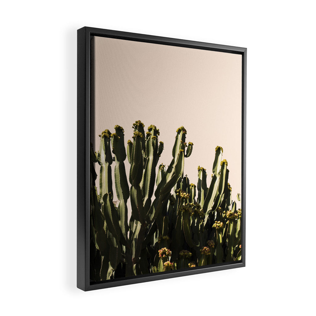 cactus nature x Framed Canvas Print Gallery Image 2