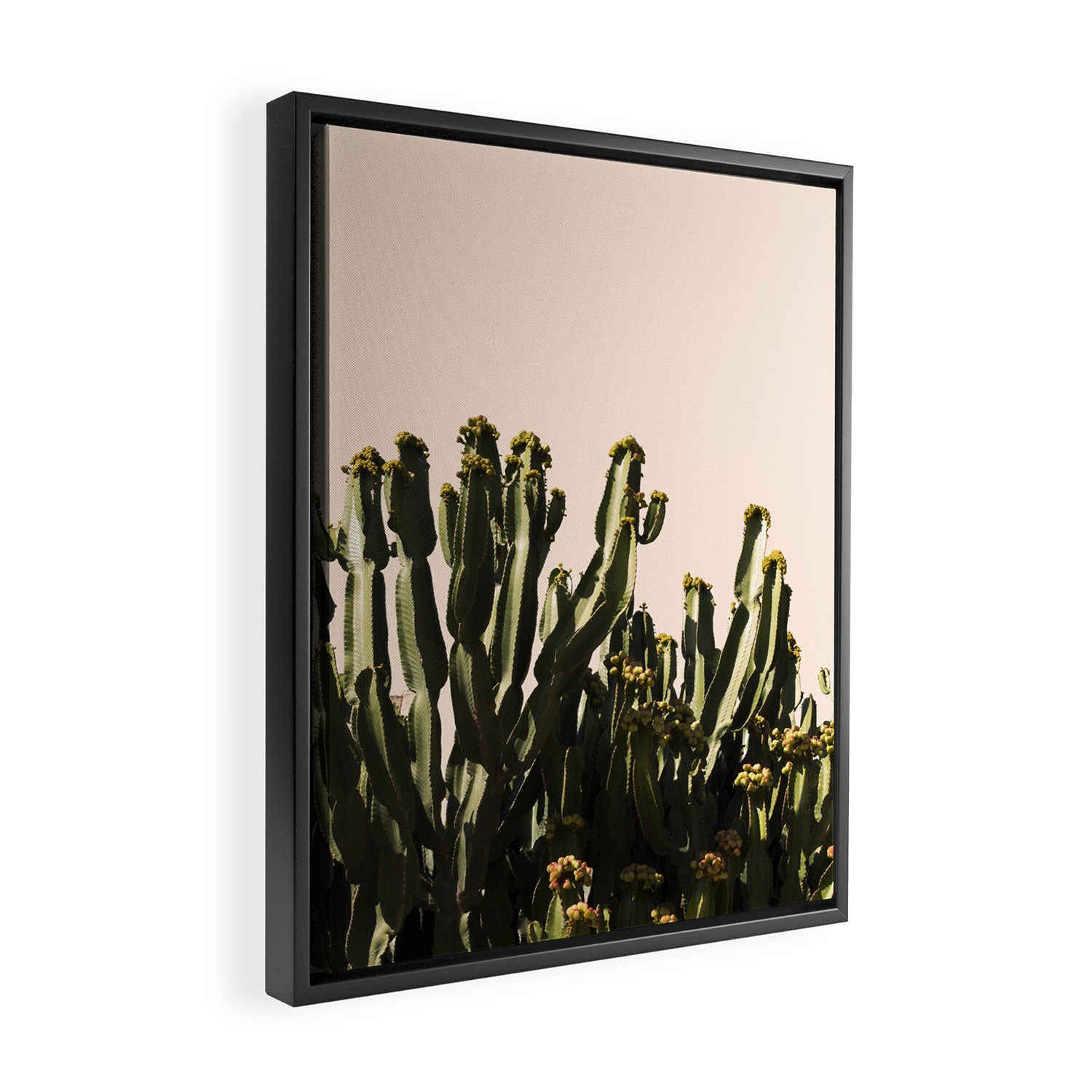 cactus nature x Framed Canvas Print Gallery Image 2