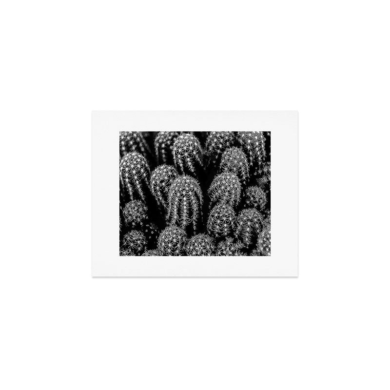 Cactus nature XIII Art Print Gallery Image 1