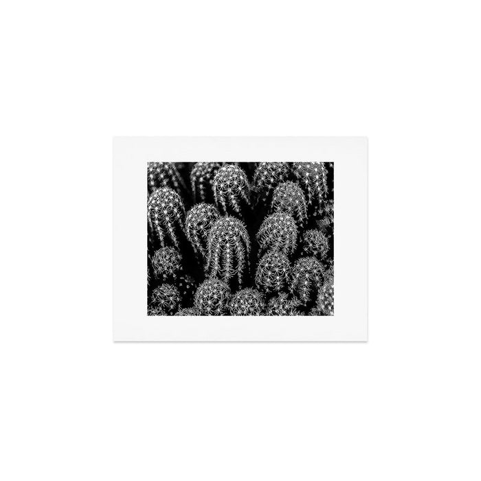 Cactus nature XIII Art Print Gallery Image 1