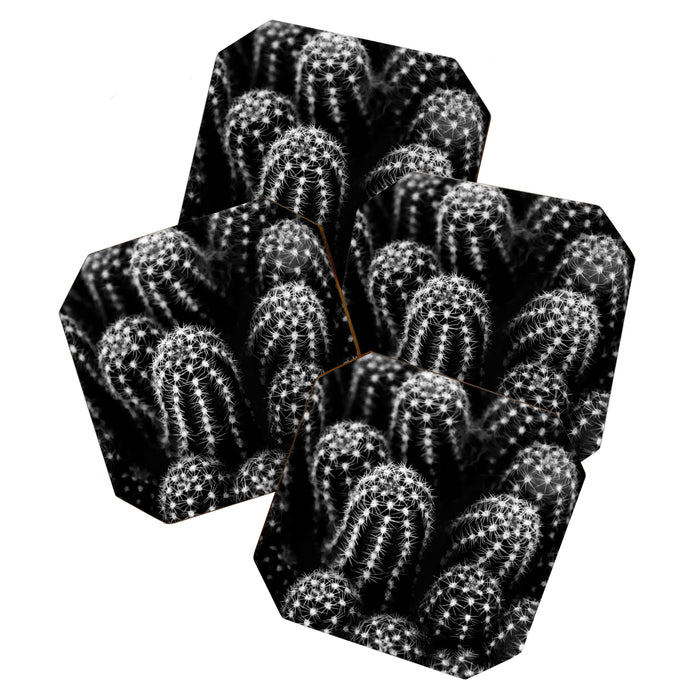 Cactus nature XIII Coaster Gallery Image 1