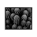 Cactus nature XIII Framed Canvas Print Gallery Image 12