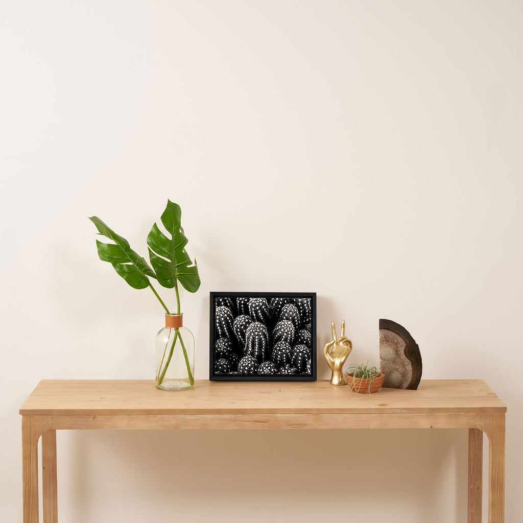 Cactus nature XIII Framed Canvas Print Gallery Image 4