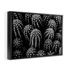 Cactus nature XIII Framed Canvas Print Gallery Image 2