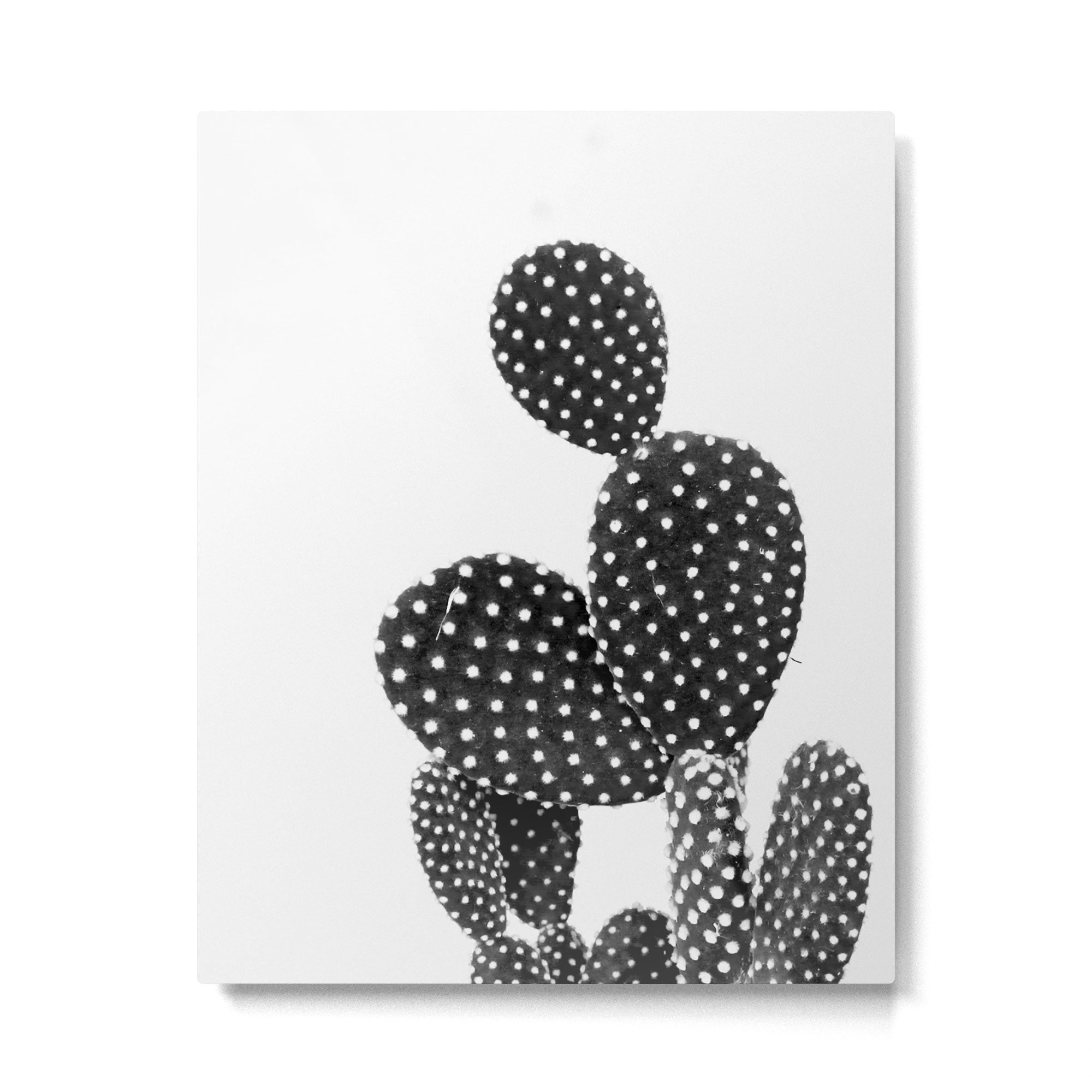 cactus vertical Metal Print Gallery Image 4