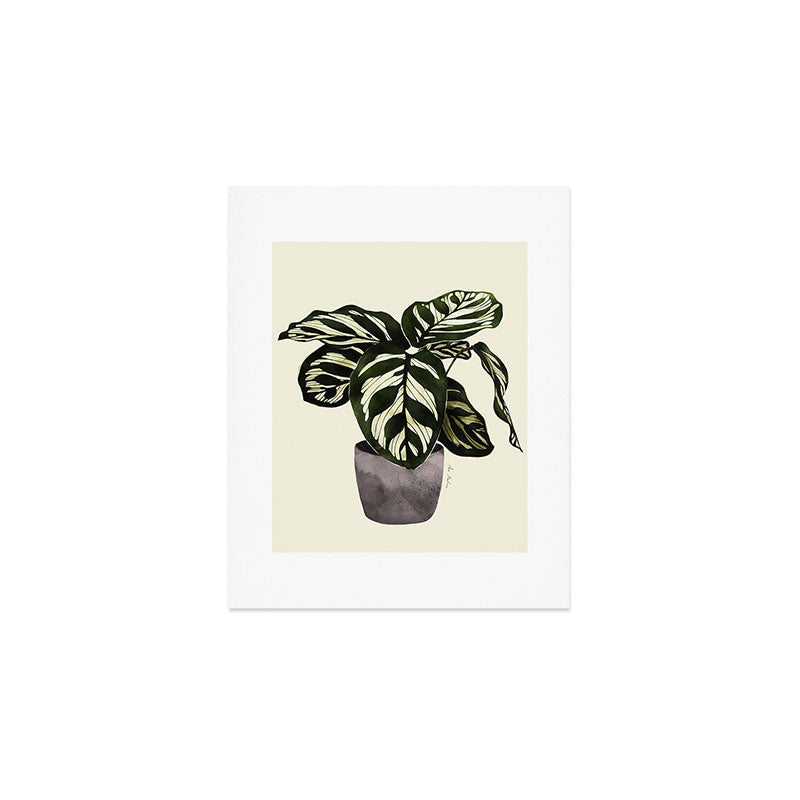 calathea botanical interior plant Art Print Gallery Image 1