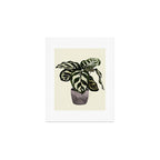 calathea botanical interior plant Art Print Gallery Image 1