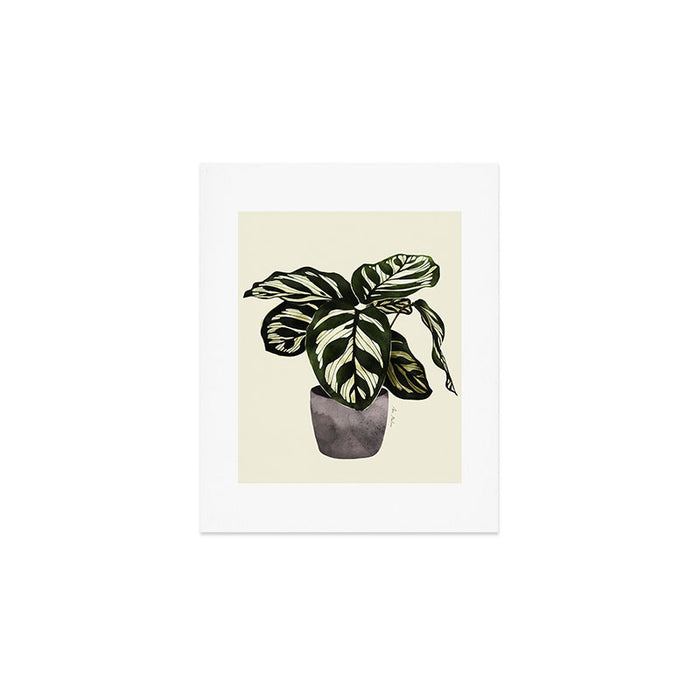 calathea botanical interior plant Art Print Gallery Image 1