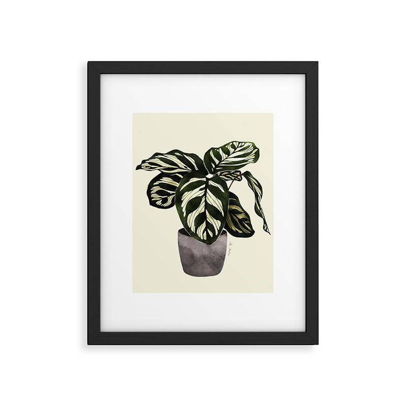 calathea botanical interior plant Framed Art Print Gallery Image 4