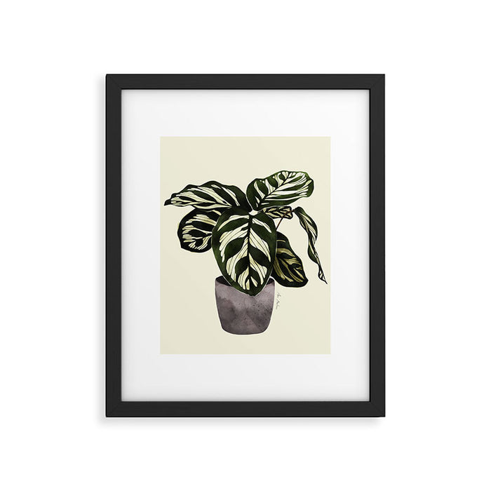 calathea botanical interior plant Framed Art Print Gallery Image 1